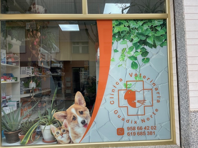 Clinica veterinaria Guadix Norte