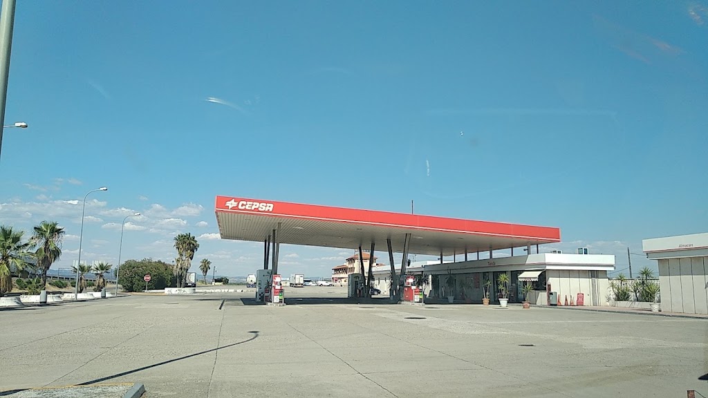 Estacion de servicio Cepsa — Surtidor de combustible