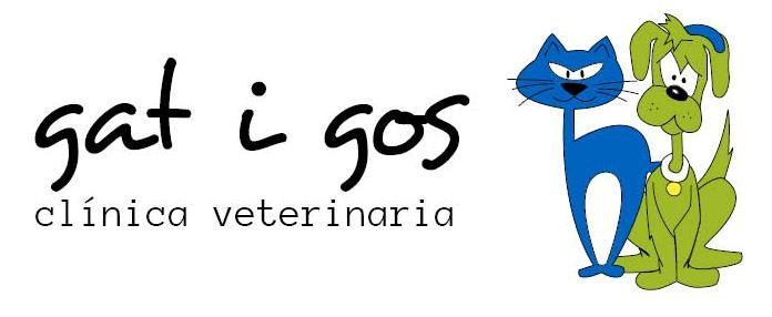 Clinica Veterinaria Gat i Gos Elche — Gato