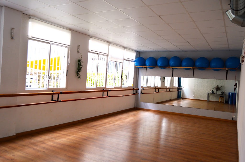 Estudio del Movimiento Cristina Arce — Del propietario