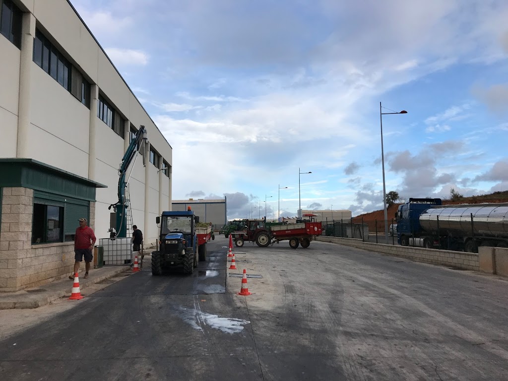 CAVAS MAREVIA, S.L.U