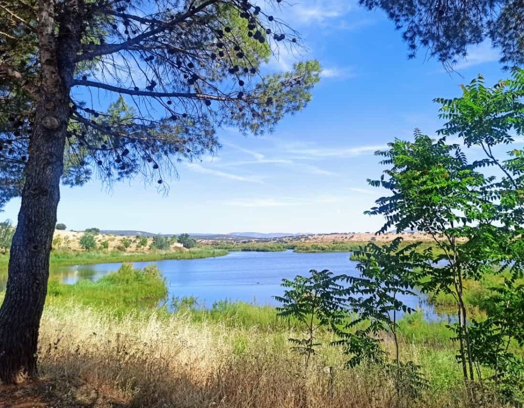 Senda de la Carrera del Caballo