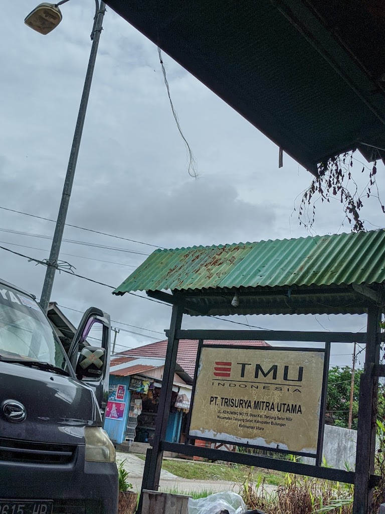 TMU AUTOMOTIF