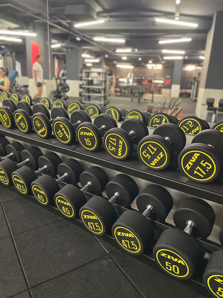 Synergym Ourense Universidad