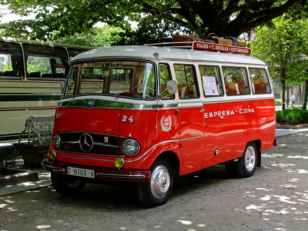 Ansedes Dominguez, S.C.V.