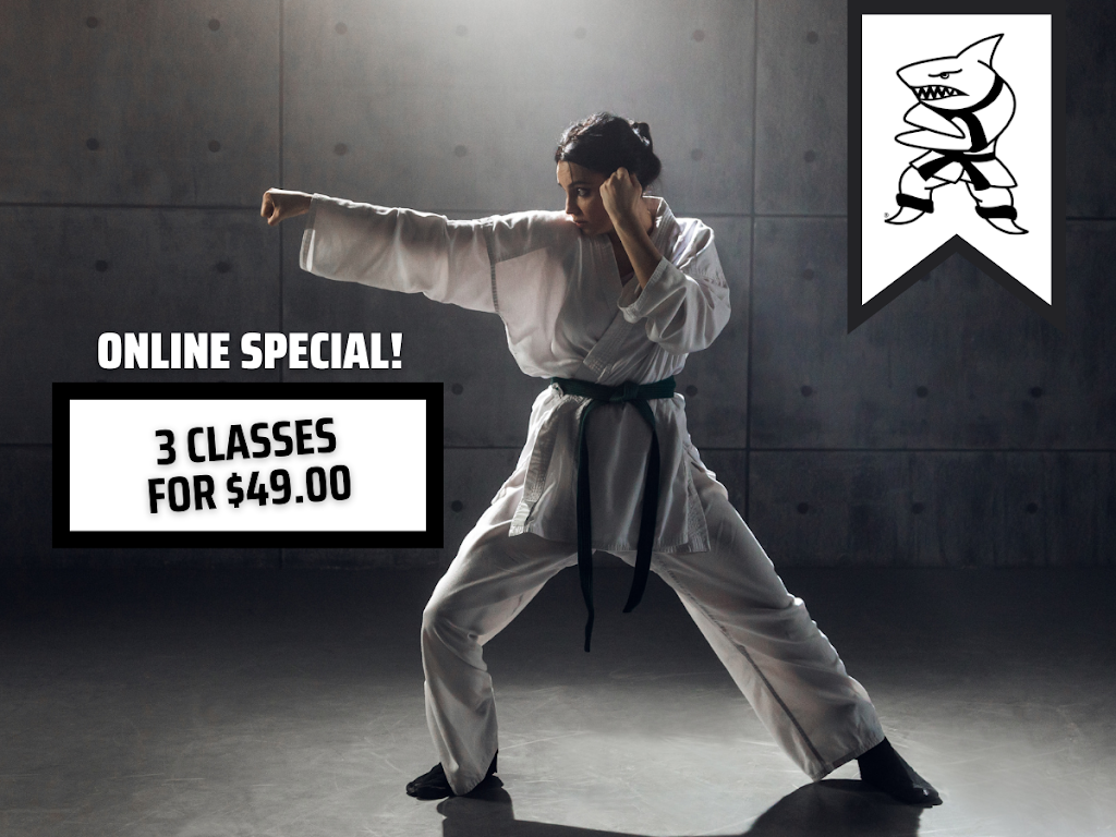  Action Karate West Chester