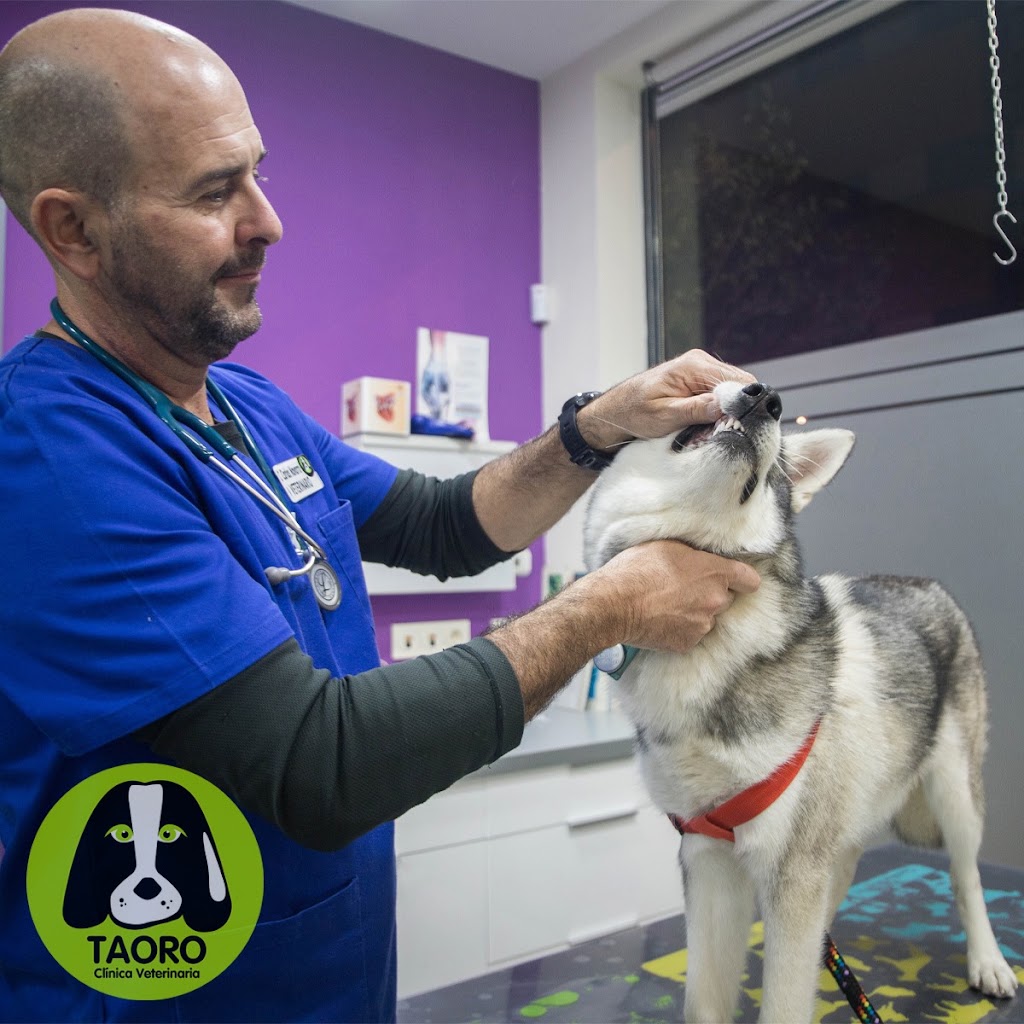 Clinica Veterinaria Taoro — Perro