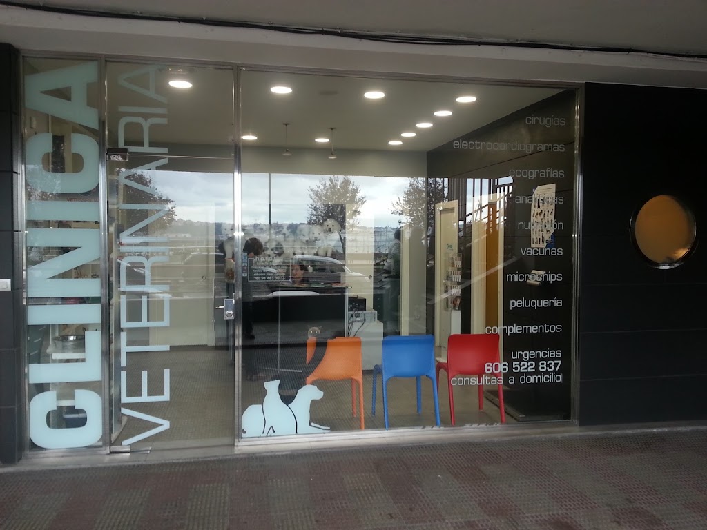 Veterinario Santurtzi | Clinica Veterinaria Santurtzi