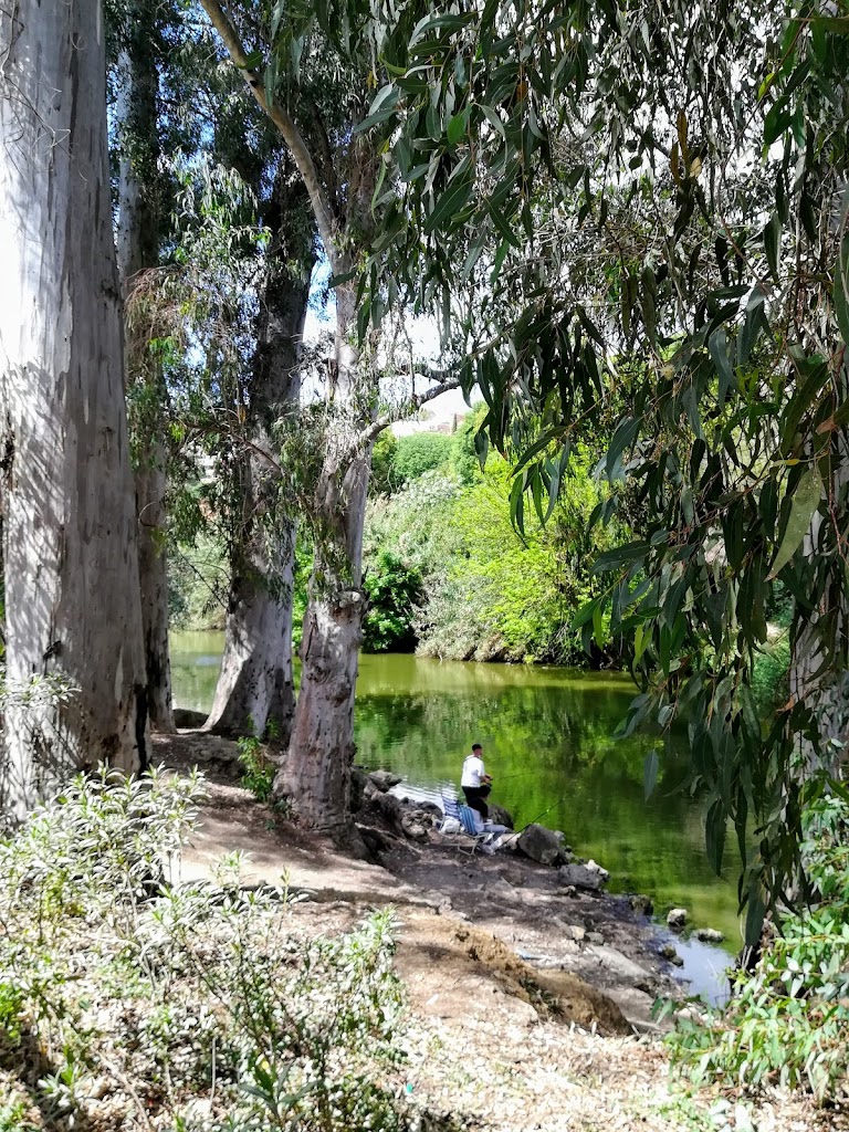 Parque Oromana Entrada