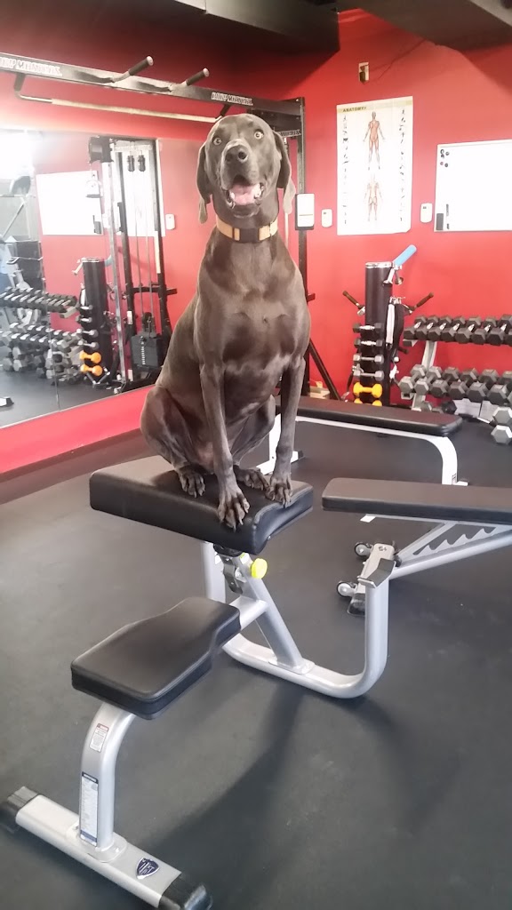  Superior Fit Body LLC - Personal Training, In Home Training and Online Training