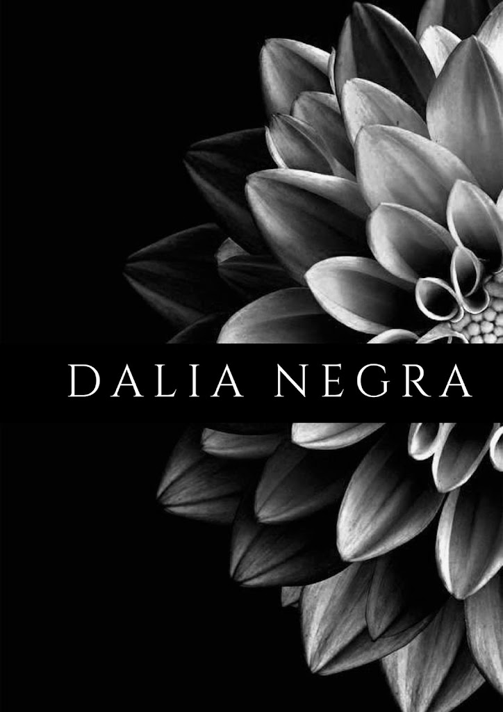 Centro de estetica Dalia Negra