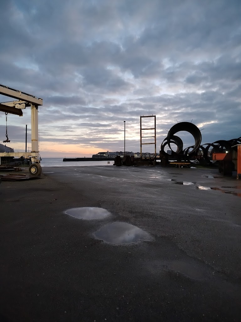 Zona perros sueltos Poniente