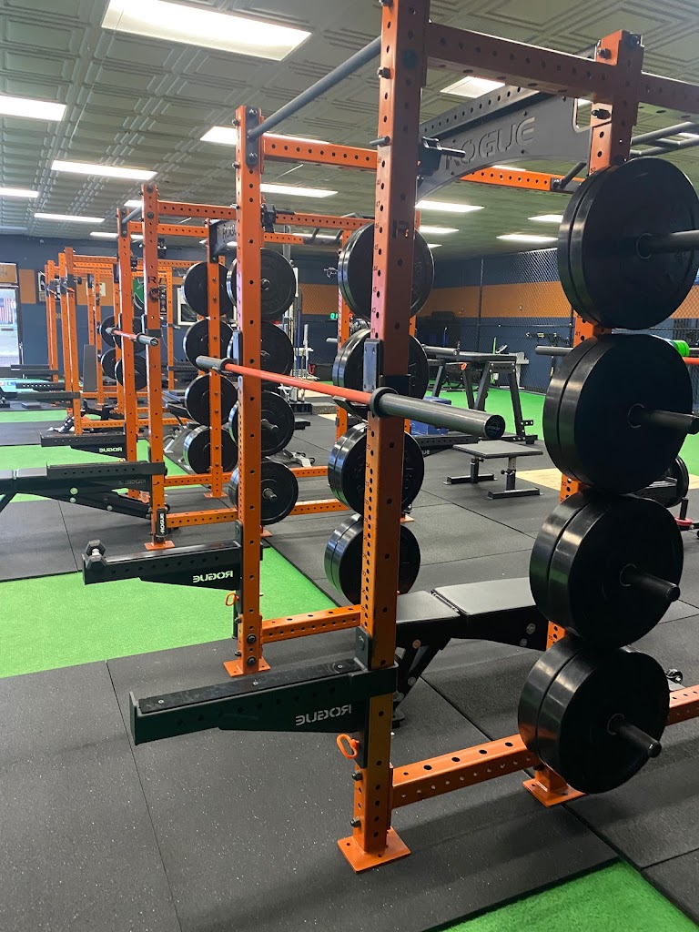  MVP Performance Training