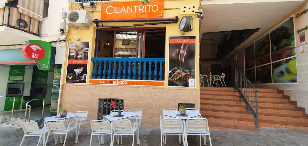 Cilantrito | Meson Mexicano