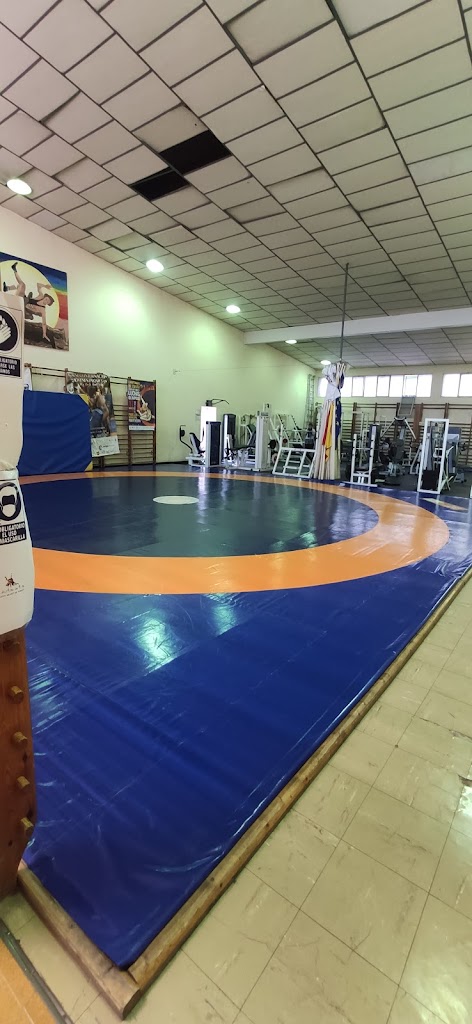 Club De Lucha Quart De Poblet