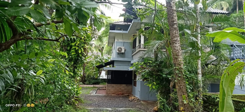 Calicut Greens Eco Stays A Home Away From Home For You At Kozhikode Calicut