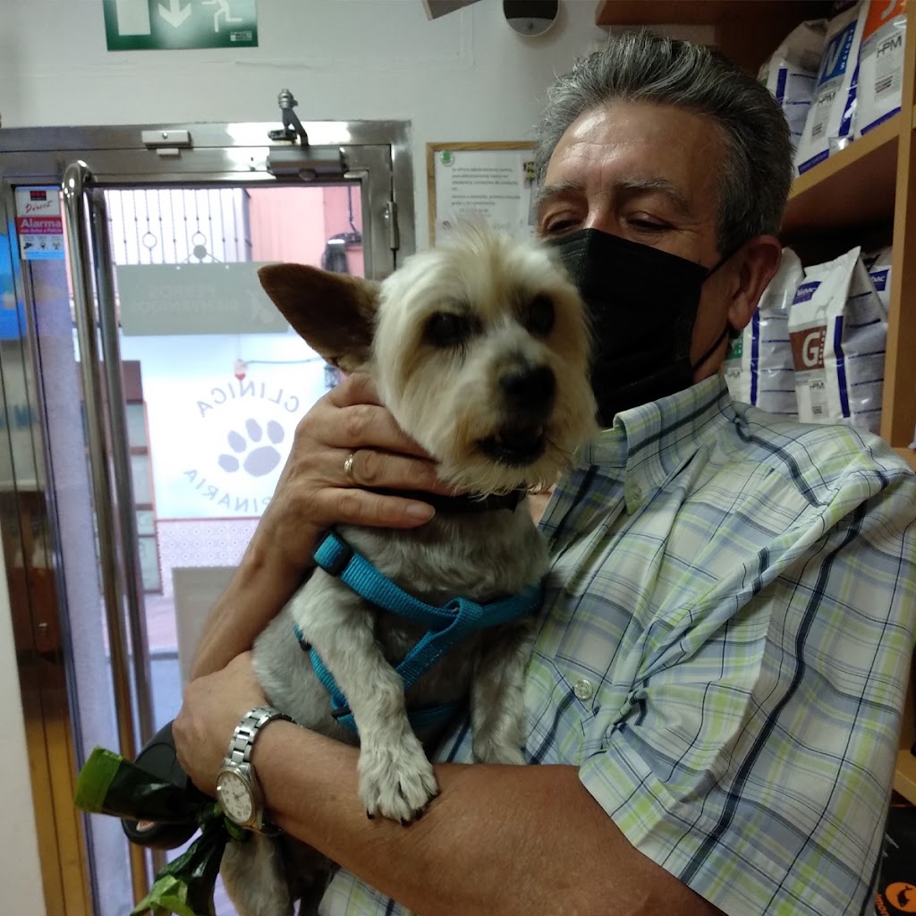 Clinica Veterinaria Zarpa — Perro