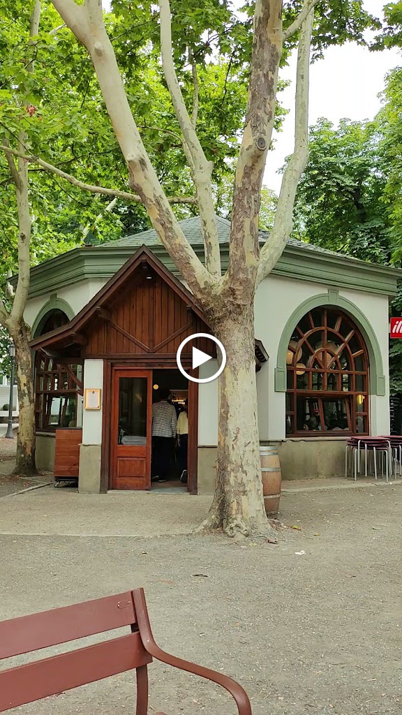 El Bosquecillo — Videos