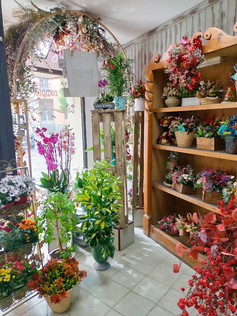 Zarabanda Floristeria — Interior