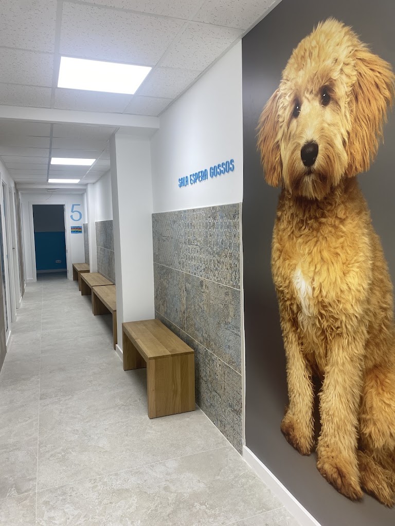 Hospital Veterinari Mataro 24H — Perro