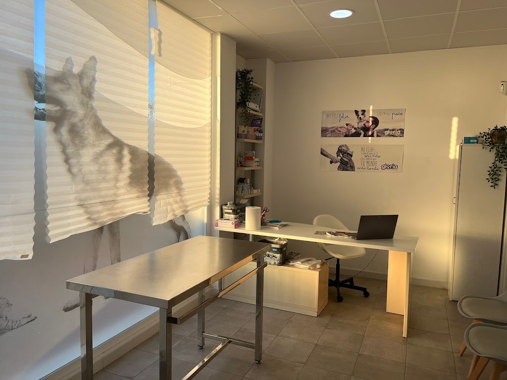 Clinica veterinaria Happy Dog Albal — Del propietario