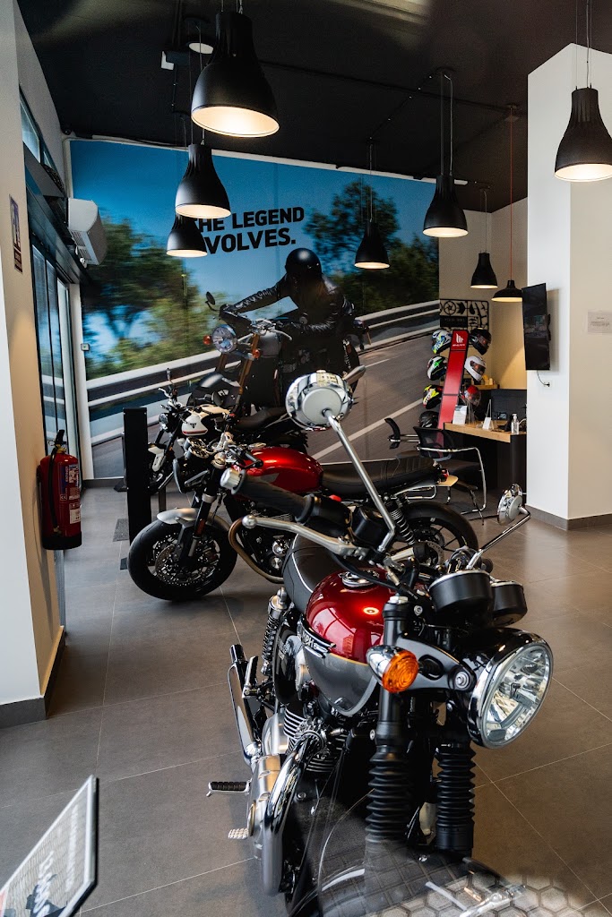 Triumph Donostia | Concesionario Oficial Motos Triumph en Donostia con Servicio Tecnico Triumph Oficial para Gipuzkoa — Chopper