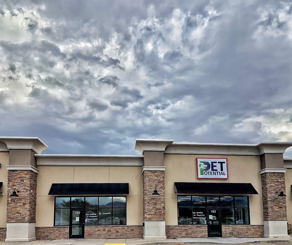 Pet Potential in Riverton