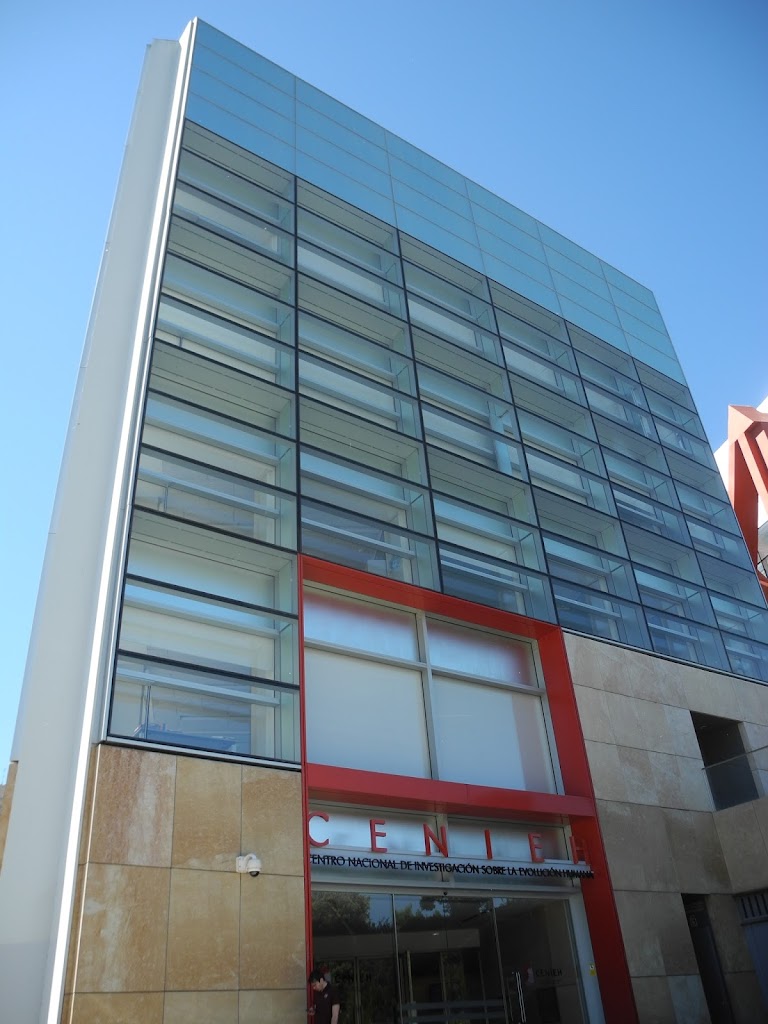 Centro Nacional de Investigacion sobre la Evolucion Humana (CENIEH)