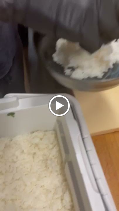 Videos