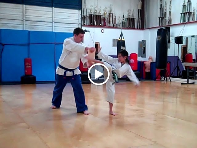  American Taekwon Do
