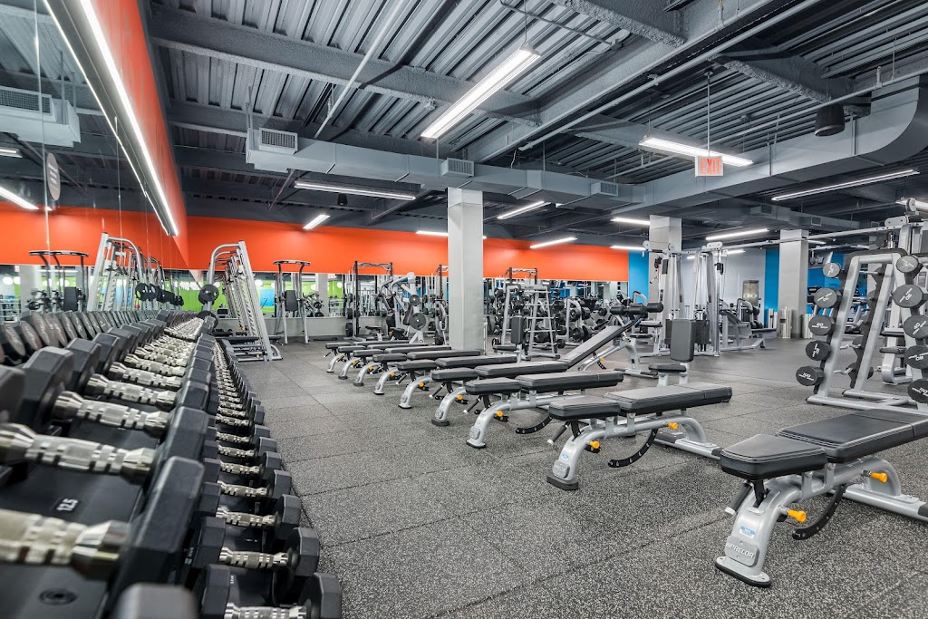  Blink Fitness (PureGym)