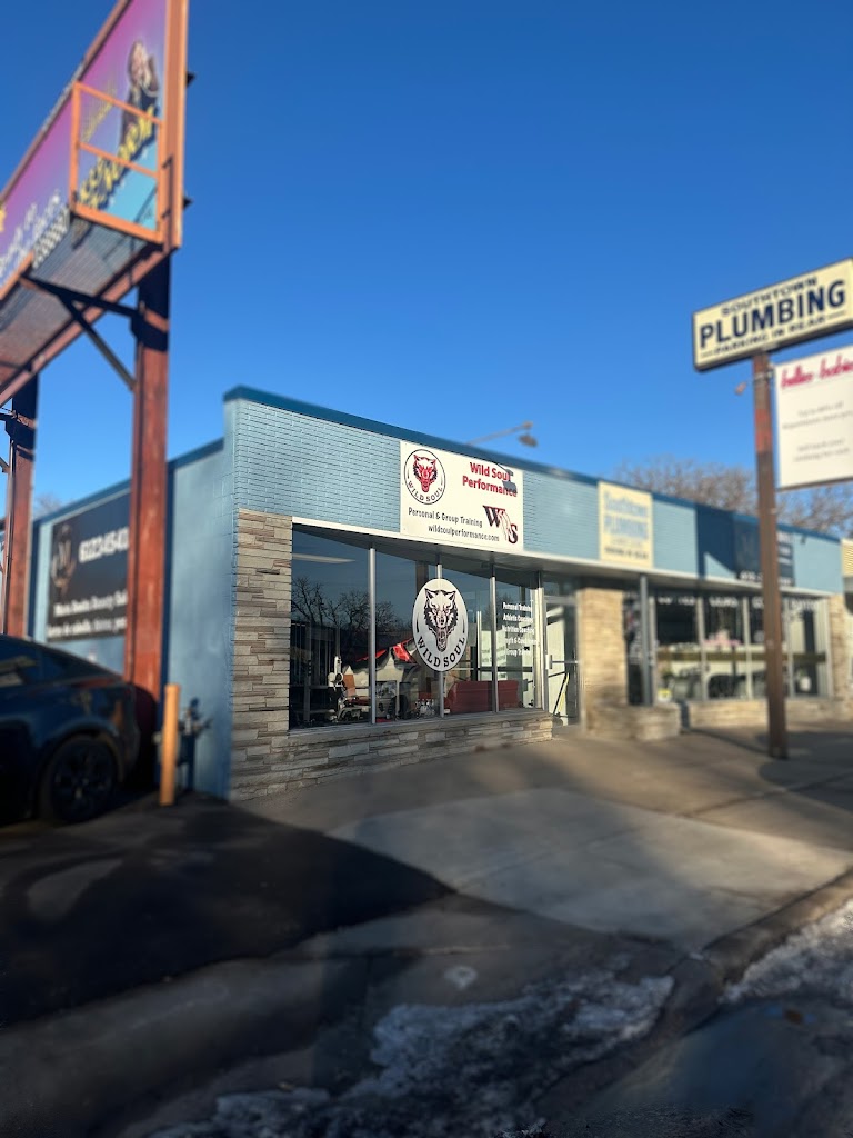  Wild Soul Performance