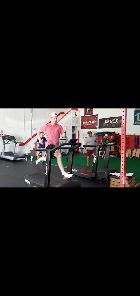  Function and Strength