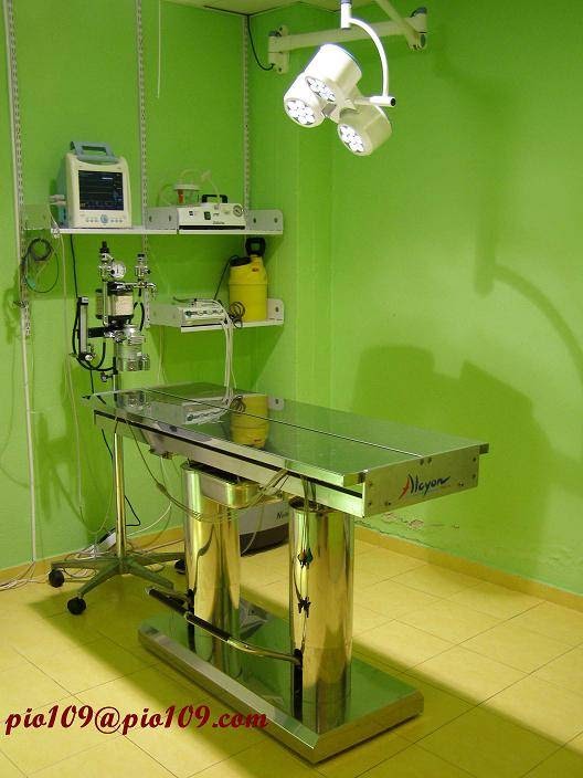 Veterinario Talavera Pio 109 — Del propietario