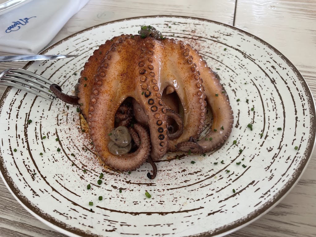 El Morro — pulpo