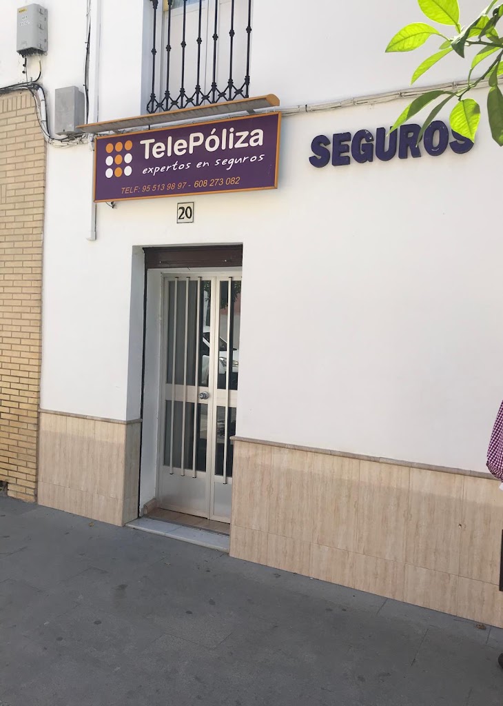 TELEPOLIZA LEBRIJA — Exterior