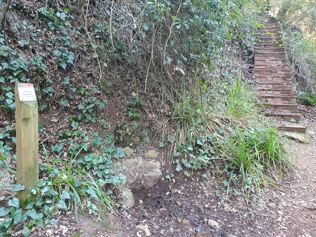 Font de les escales