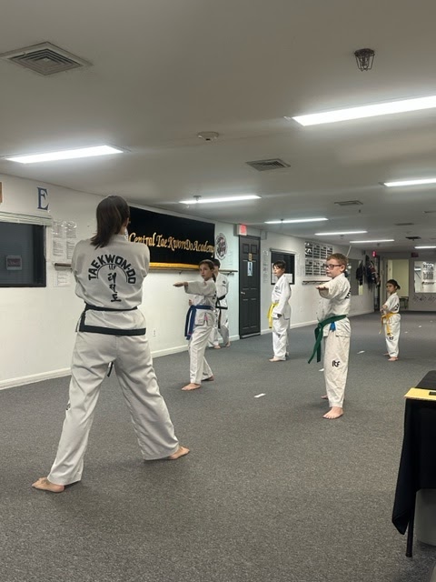  Central Tae Kwon Do Academy