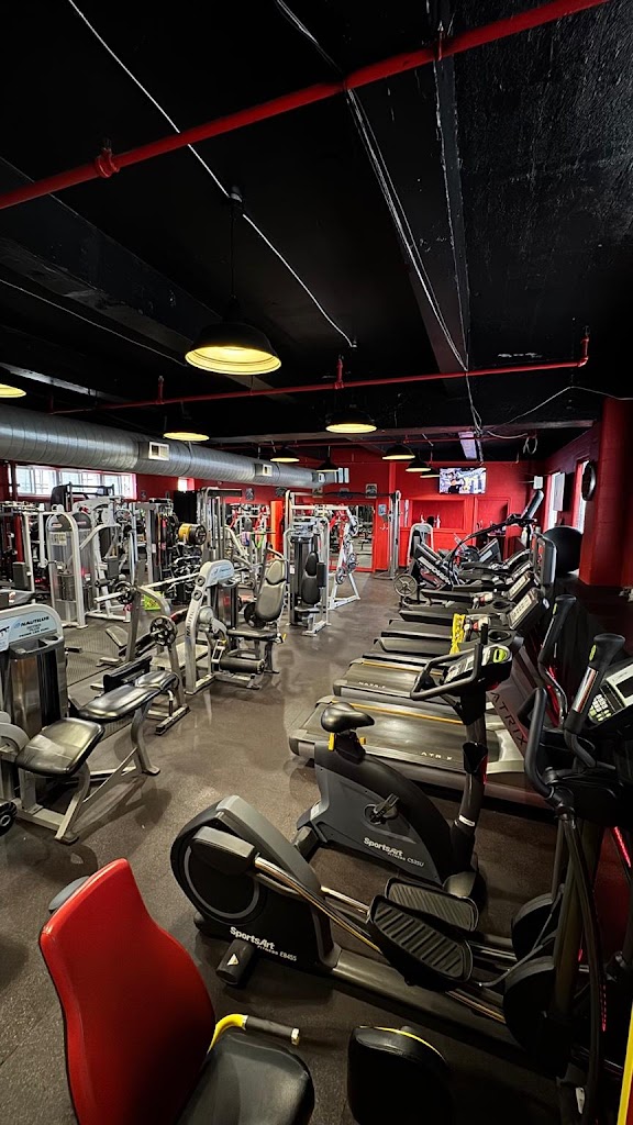  Fitness GalleryNY
