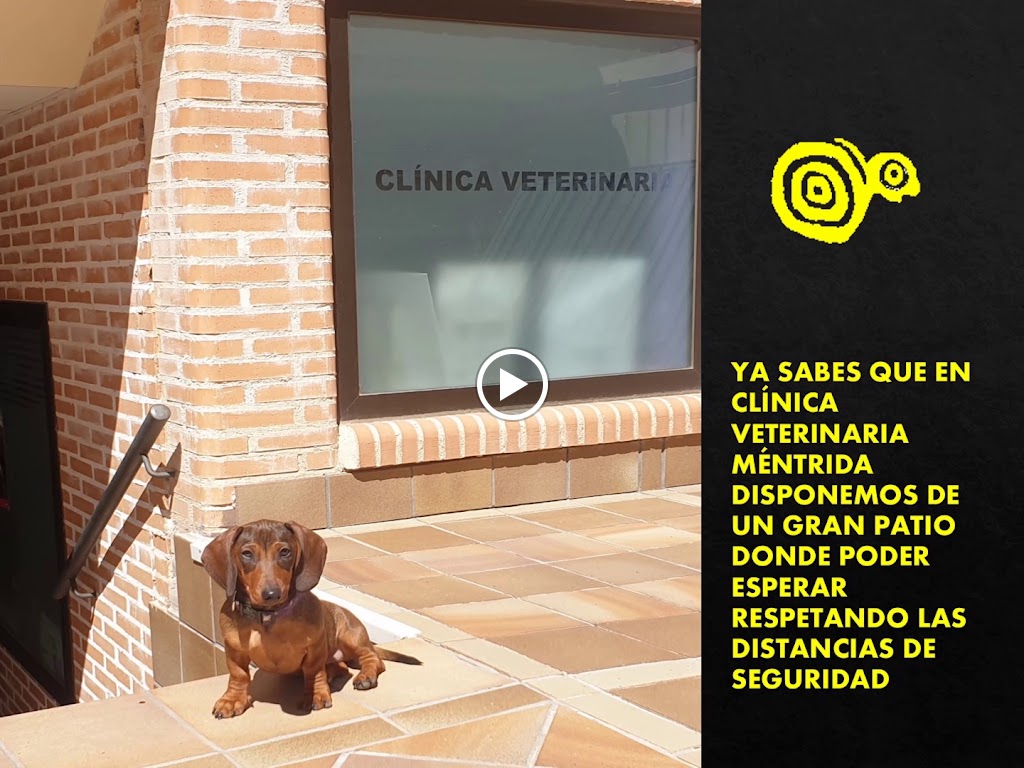 Clinica Veterinaria Mentrida — Del propietario
