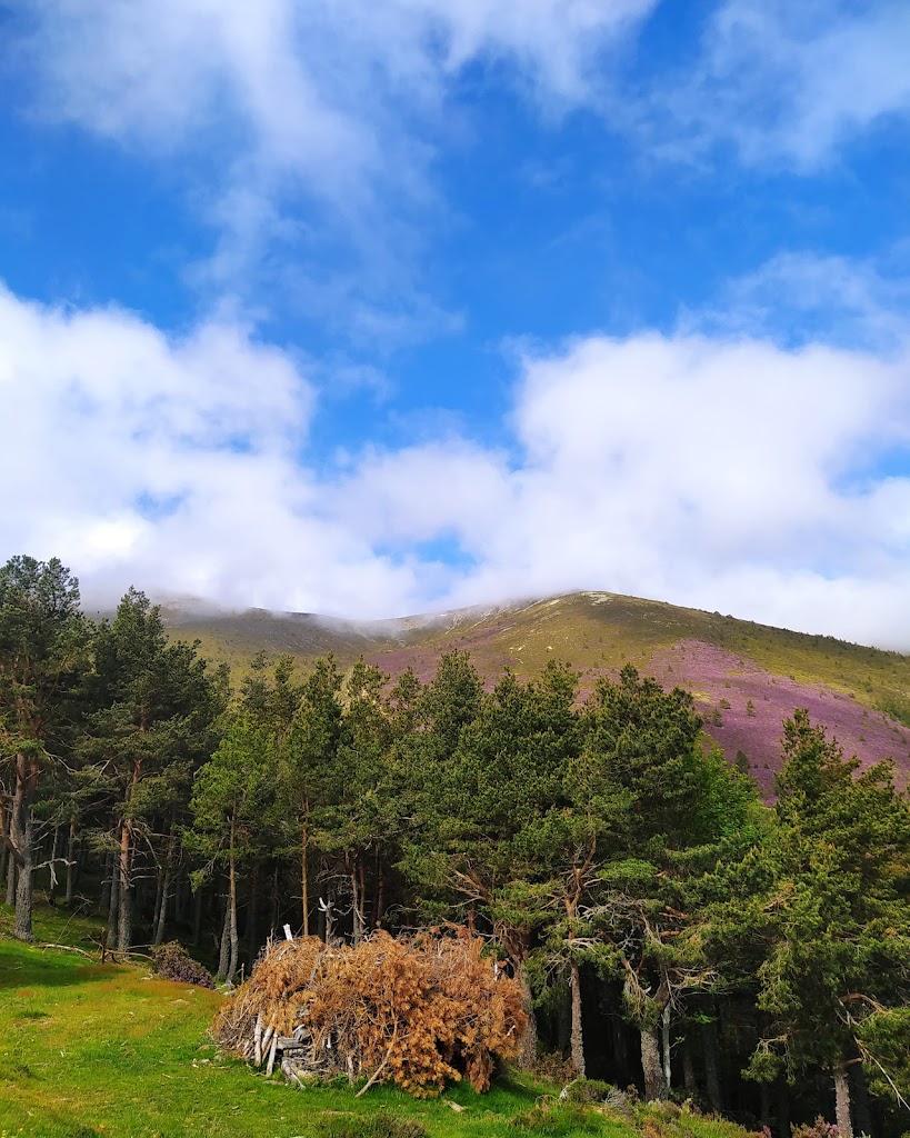 Sendero de Valvanera