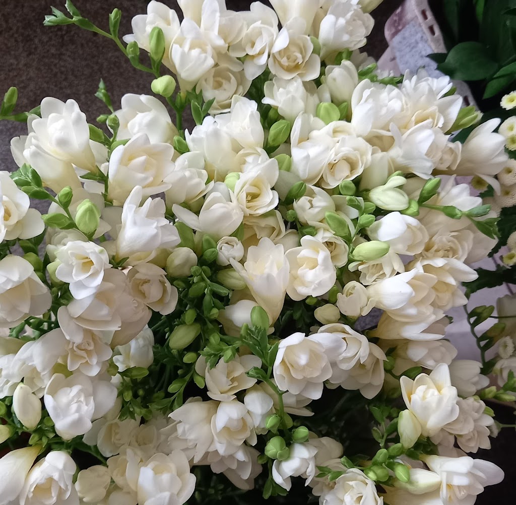 Pauline Jones Florist