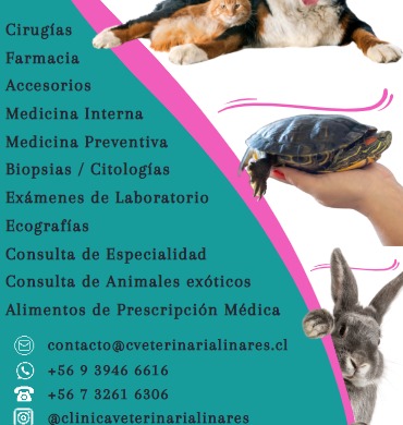 Clinica Veterinaria Linares — Del propietario