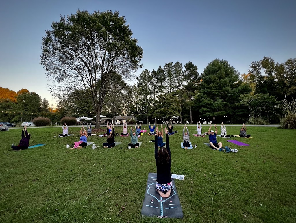  Fredericksburg Yoga & Wellness