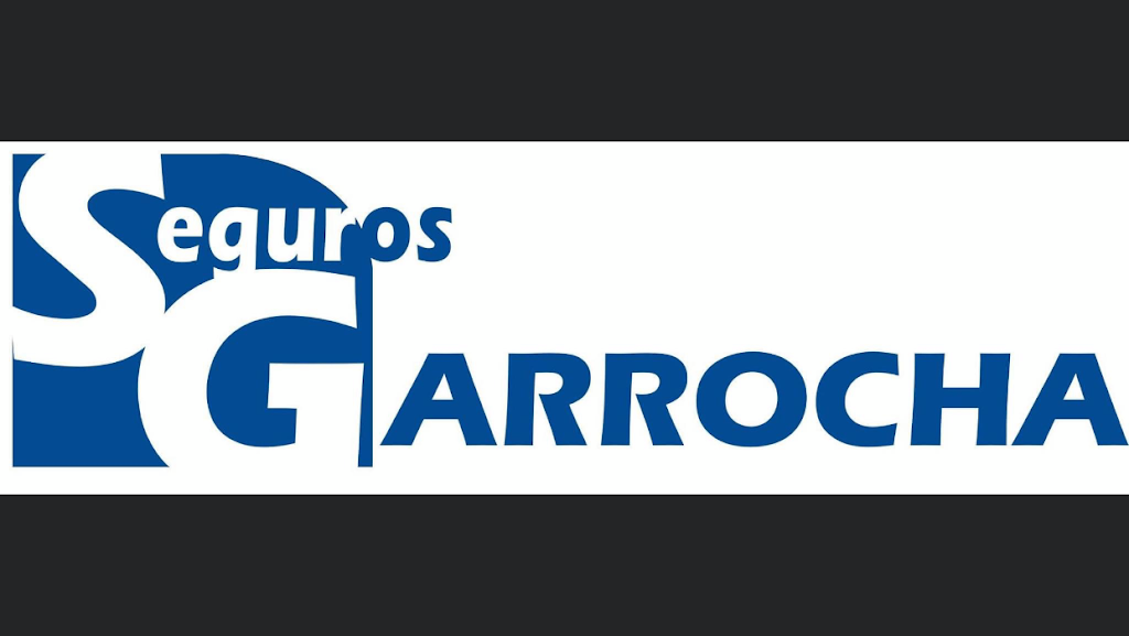 Seguros Garrocha — Del propietario