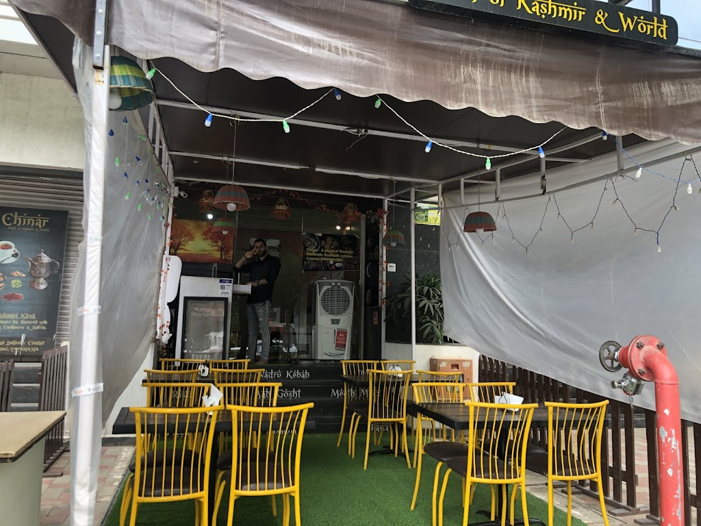 Chinar With Love From Kashmir