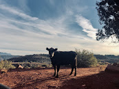 Zion Wright Family Ranch