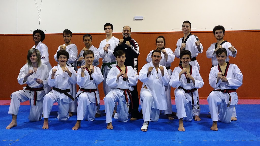 CLUB TAEKWONDO VVA. DEL PARDILLO — Del propietario
