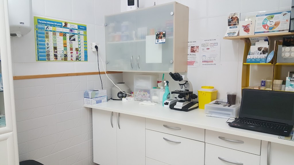 Centro Veterinario Torrellano — Del propietario