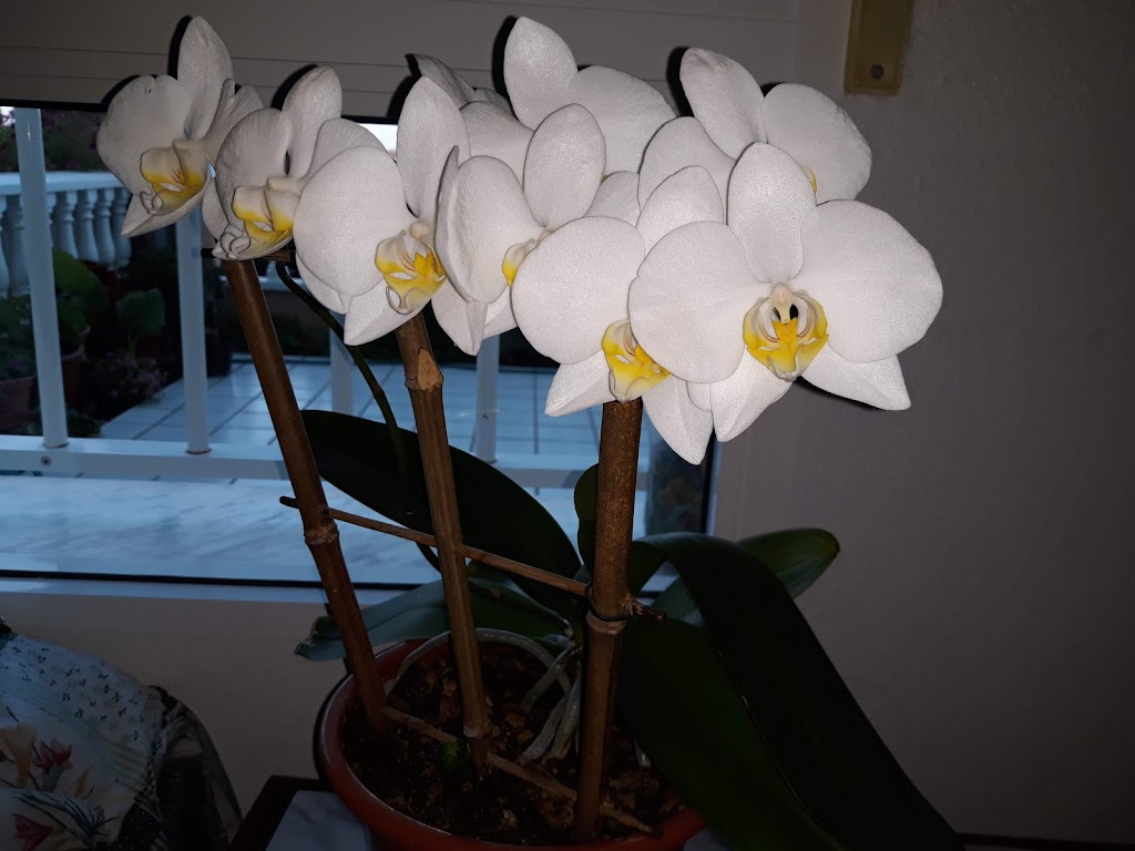 Monumento en memoria Miguel Angel Blanco